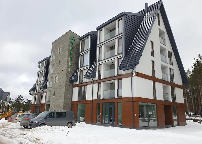 Apartman Borovi Divcibare