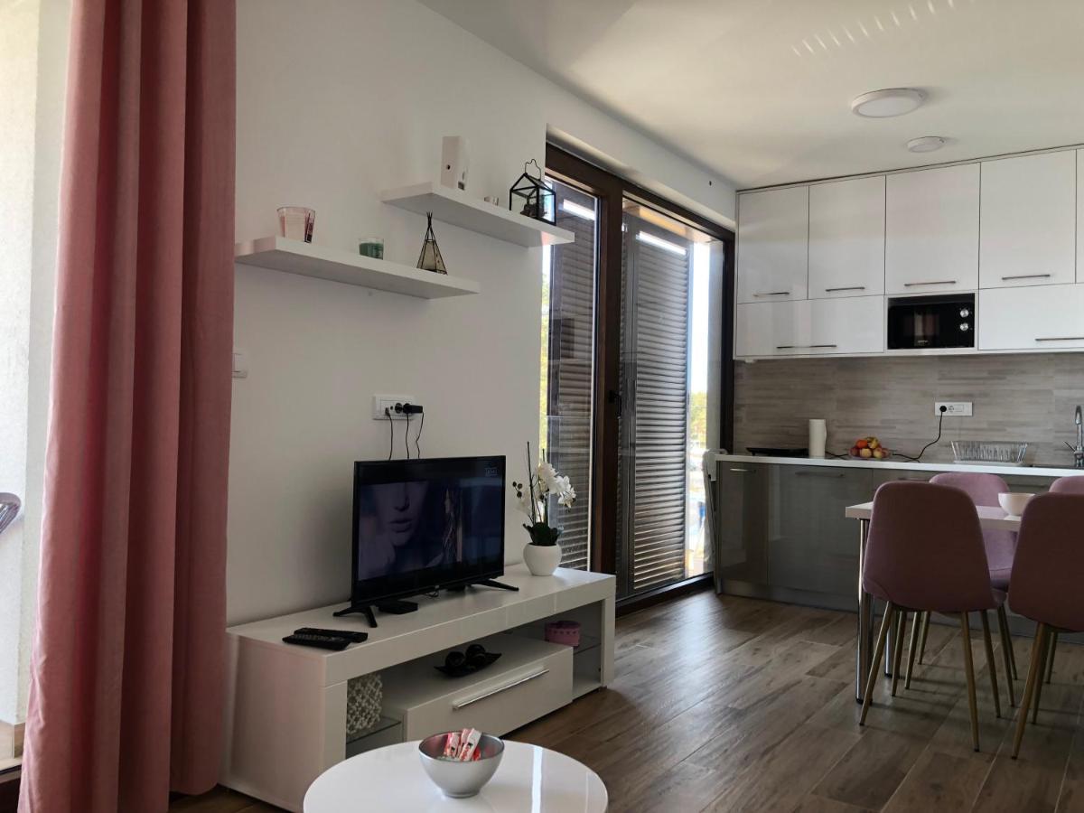 Apartment Borovi *